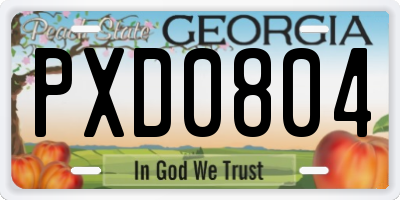 GA license plate PXD0804