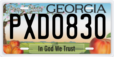 GA license plate PXD0830