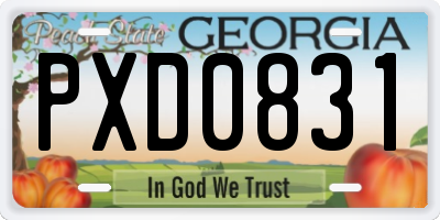 GA license plate PXD0831