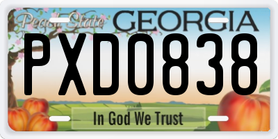 GA license plate PXD0838