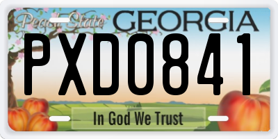 GA license plate PXD0841