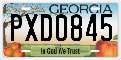 GA license plate PXD0845