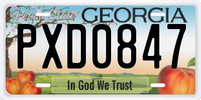 GA license plate PXD0847
