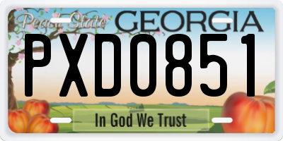 GA license plate PXD0851