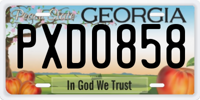 GA license plate PXD0858