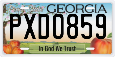 GA license plate PXD0859