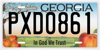 GA license plate PXD0861
