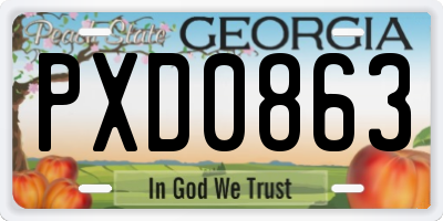 GA license plate PXD0863