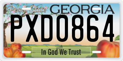 GA license plate PXD0864