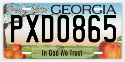 GA license plate PXD0865