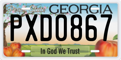 GA license plate PXD0867