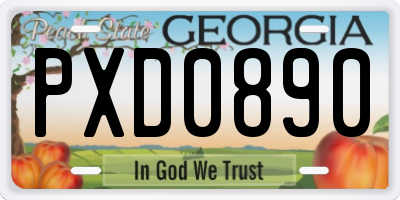 GA license plate PXD0890
