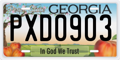 GA license plate PXD0903