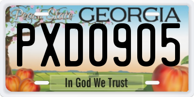 GA license plate PXD0905