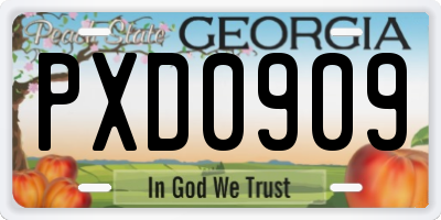 GA license plate PXD0909