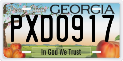 GA license plate PXD0917