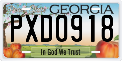 GA license plate PXD0918
