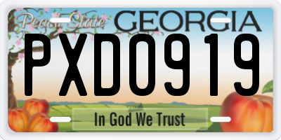 GA license plate PXD0919