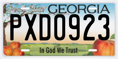 GA license plate PXD0923