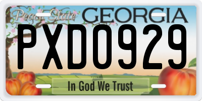 GA license plate PXD0929