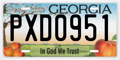 GA license plate PXD0951