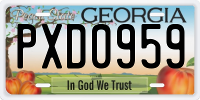 GA license plate PXD0959