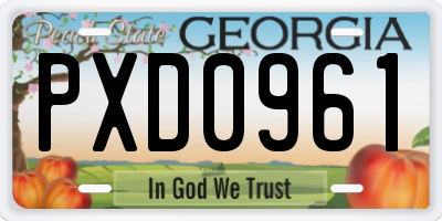 GA license plate PXD0961
