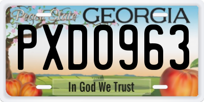 GA license plate PXD0963