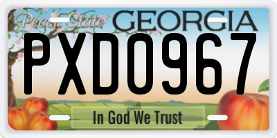 GA license plate PXD0967