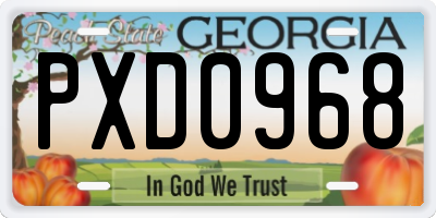 GA license plate PXD0968
