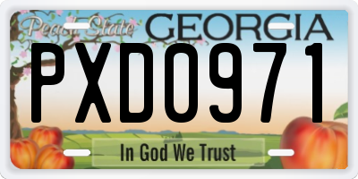 GA license plate PXD0971