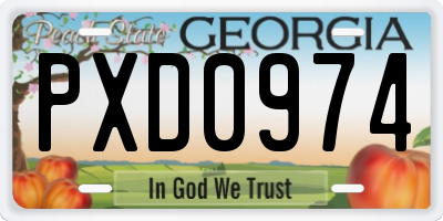 GA license plate PXD0974