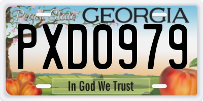 GA license plate PXD0979