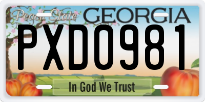 GA license plate PXD0981