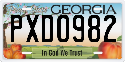 GA license plate PXD0982