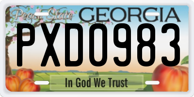 GA license plate PXD0983