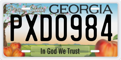 GA license plate PXD0984