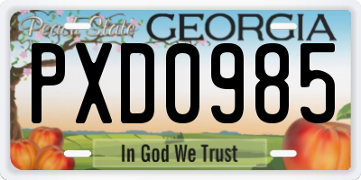 GA license plate PXD0985