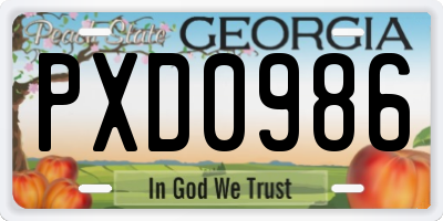 GA license plate PXD0986