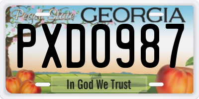GA license plate PXD0987