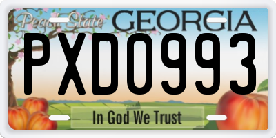 GA license plate PXD0993