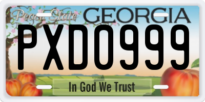 GA license plate PXD0999