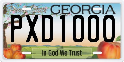 GA license plate PXD1000