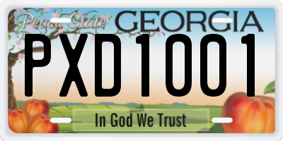 GA license plate PXD1001