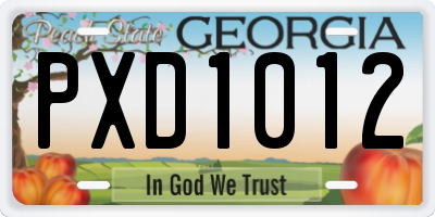 GA license plate PXD1012