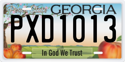 GA license plate PXD1013