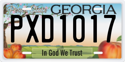 GA license plate PXD1017