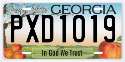 GA license plate PXD1019