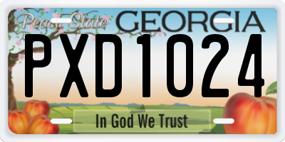 GA license plate PXD1024