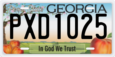 GA license plate PXD1025